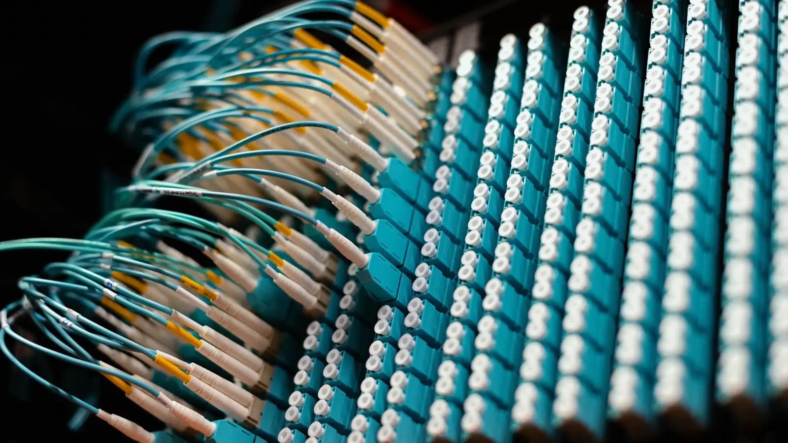 Rows of blue fibre optic patch cables connected to a patch panel