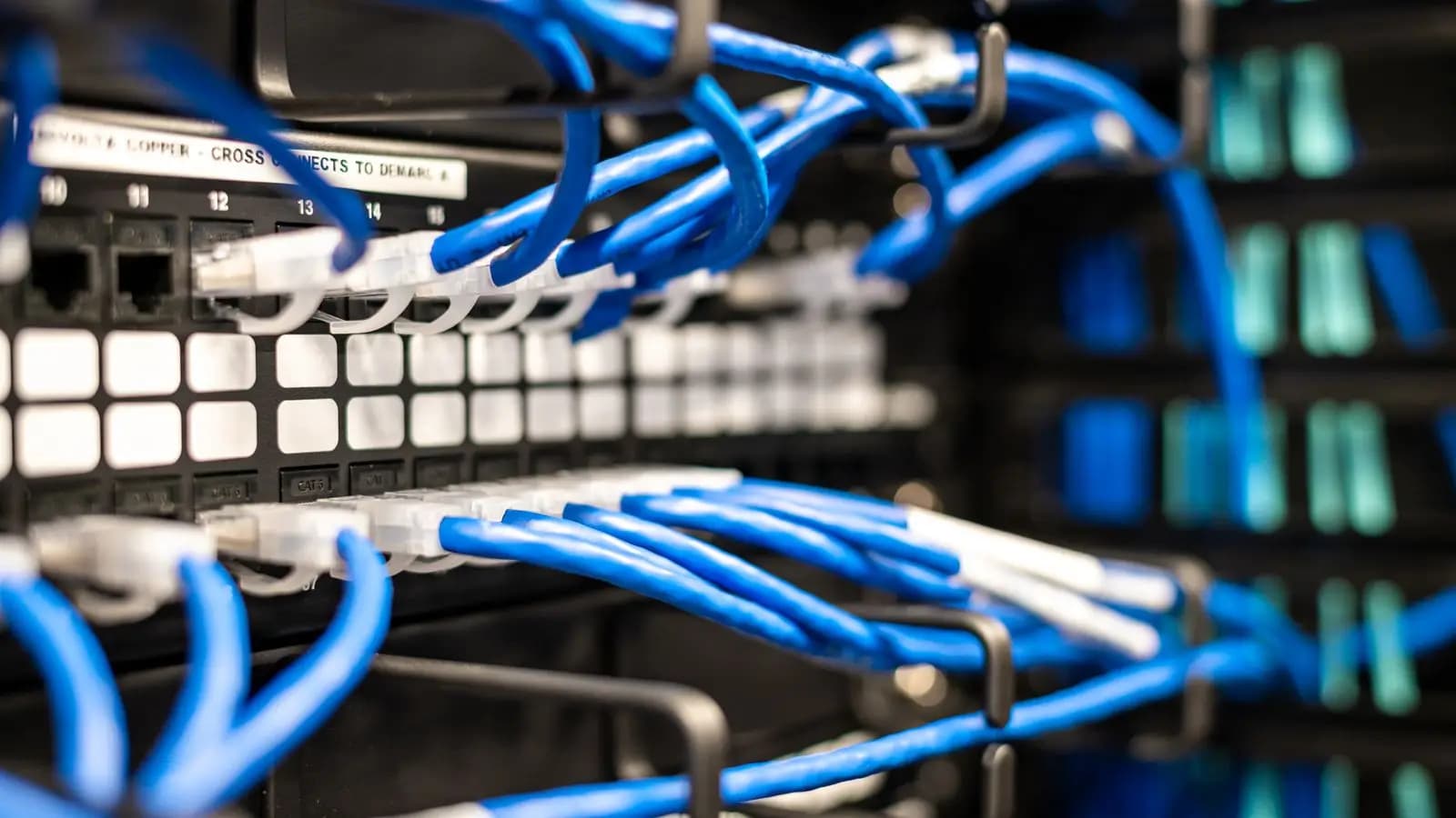 Blue network cables plugged into a server rack switch