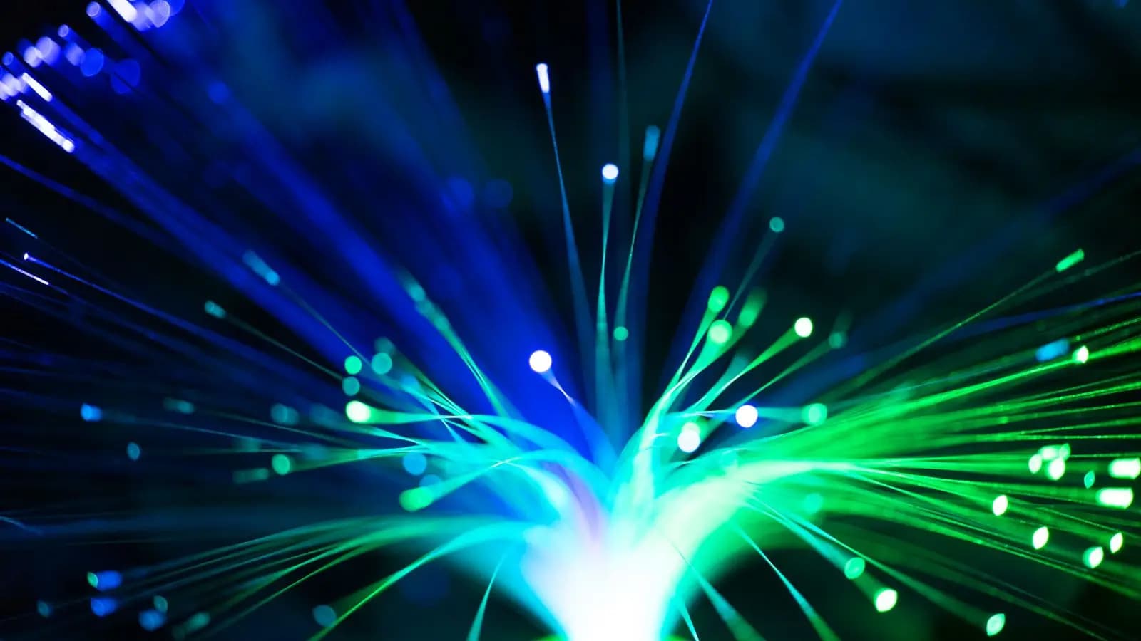 Strands of optical fibre glowing blue and green at their tips